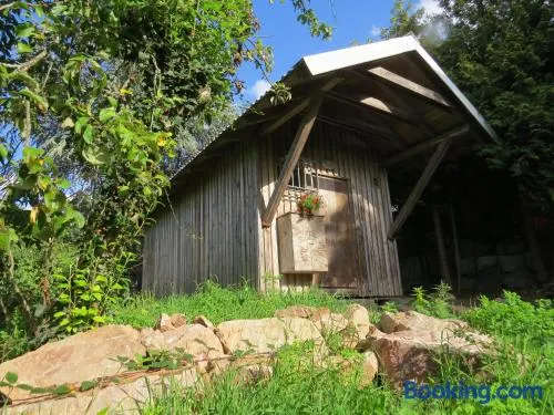 Wildhütte Schinderhannes - Image 1