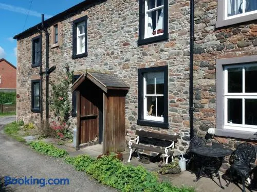 Rose cottage on the peaceful solway coast - Image 1