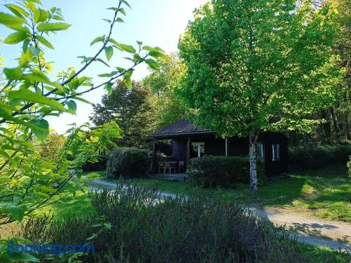 Les chalets de Céleste - Image 1