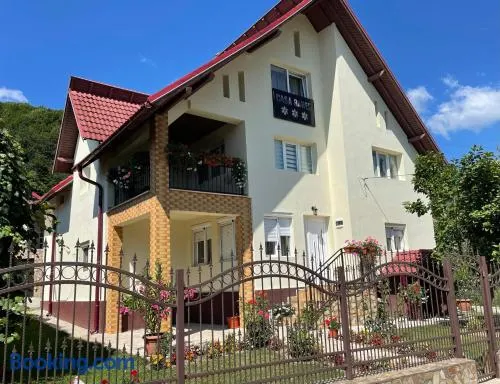 Pensiunea casa Rareș - Image 1