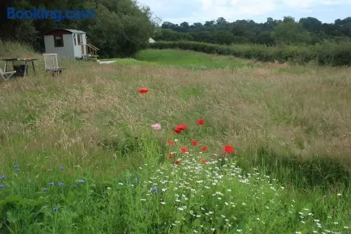 Little Idyll shepherds hut - Image 1