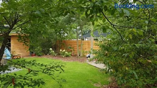 Vakantiewoning Dinkelhofje met gratis linnen - Image 1