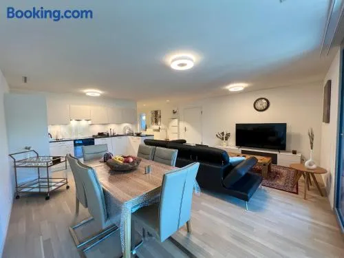 Lavish 4.5 rooms furnished apartment @Glattbrugg - Image 1