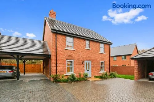 Entire house in Stanway, Colchester - Image 1