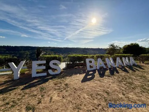 Yes Banana - Image 1