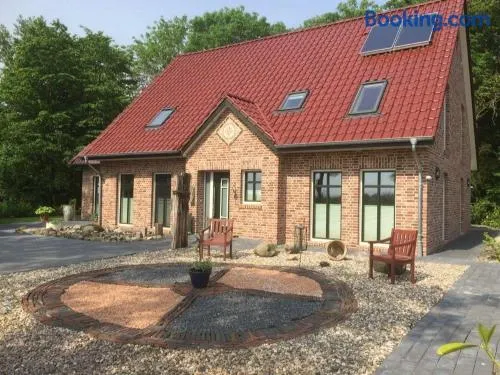 Huus Windroos Wohnung 2 - Image 1