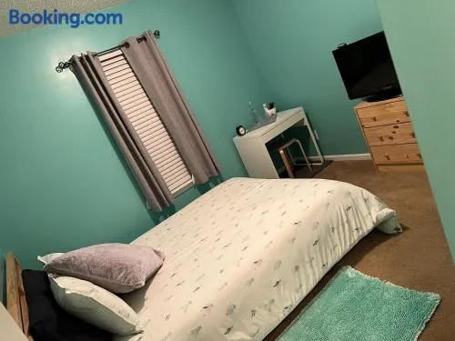 Prickle Your Fancy Private Room in University - Image 1