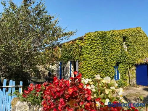 un gîte authentique à la mer - Image 1