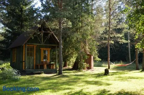 Saia Forest House - Image 1
