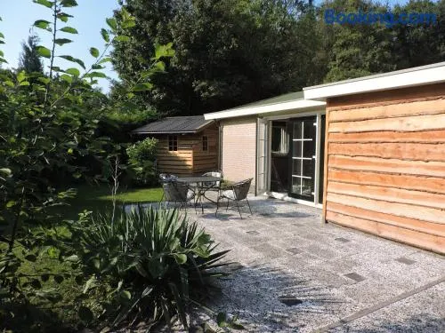Bungalow Veluwemeer - Image 1