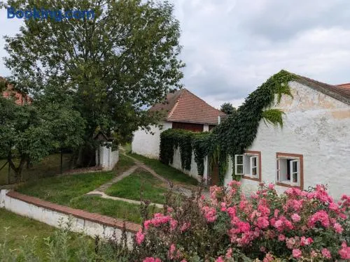 Chaloupka u Mostu sv Jana v centru Vodňan - Image 1