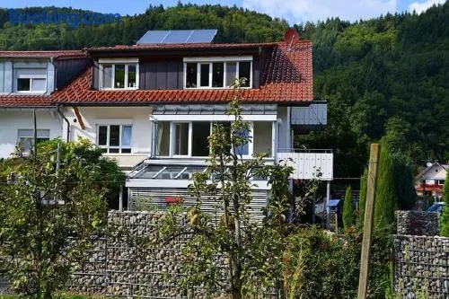 Haus Reichenbach - Image 1