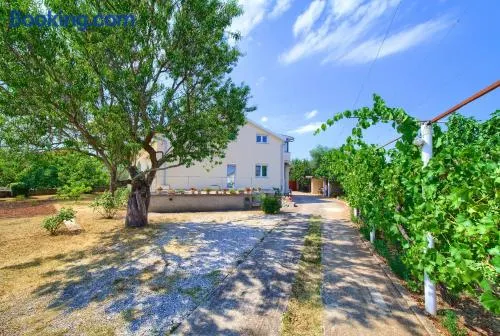 Apartment Lipovac - Image 1