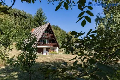 Pet-Friendly - Planinska Vikendica Međurečje - Image 1