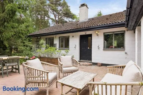 Modernised 70S Cottage In Forest Near Beach - Image 1