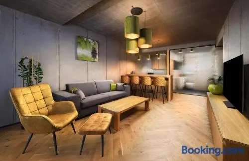 Tatry Premium Apartment Kežmarok - Image 1