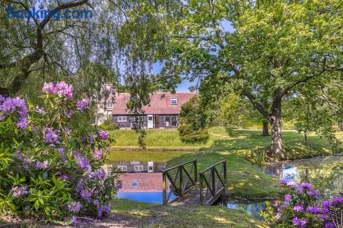 The Duck House - Image 1
