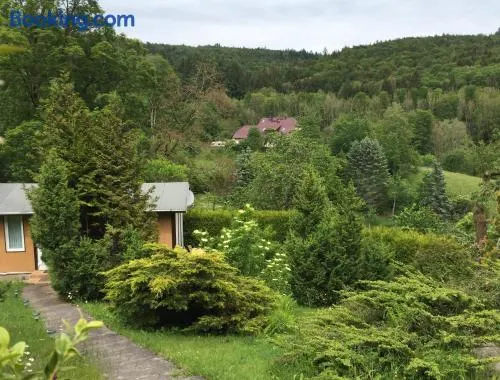 Kleines Haus am Wald - Image 1