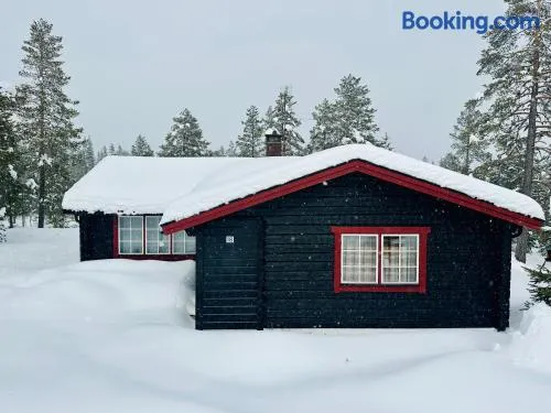 Sälentoppen - Image 1