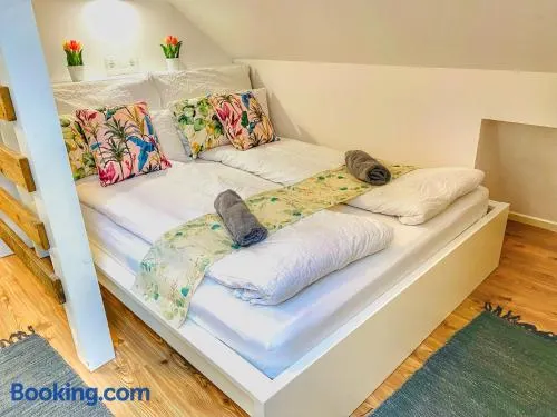 Magenta Apartman - Image 1