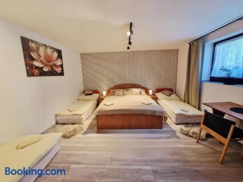 Apartmán pri zmrzline - Image 1