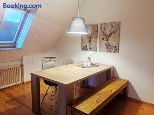 Moderne Ferienwohnung in ruhiger Lage - Image 1