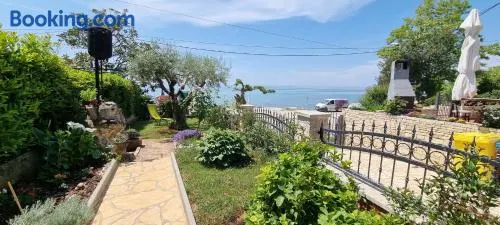 App Maria 1 - Image 1