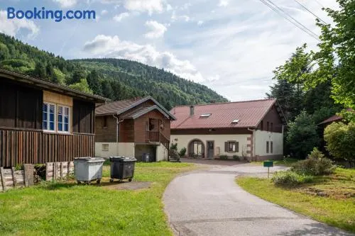 App F2 44 m² au rez-de-chaussée - Image 1
