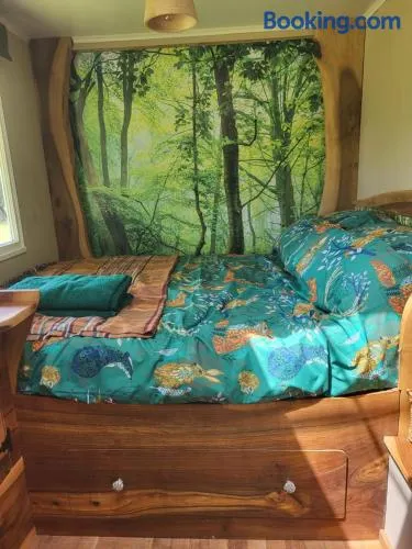 Courtlands farm camping and glamping - Image 1
