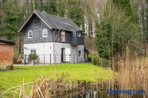 Belchamp Hall Mill - Image 1