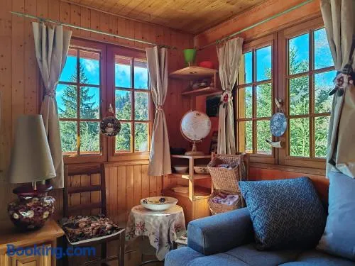 Chalet Vététiste - Image 1