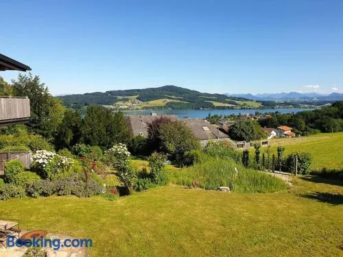 Apartment im Salzburger Seenland - Image 1