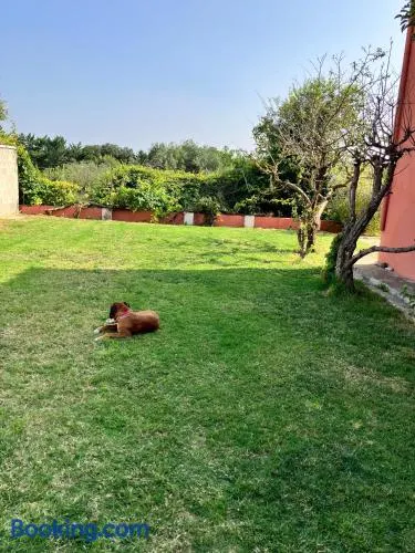Descanso del GUERRERO - Image 1