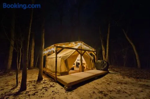 Creekside Glamping Current River Mark Twain Forest - Image 1