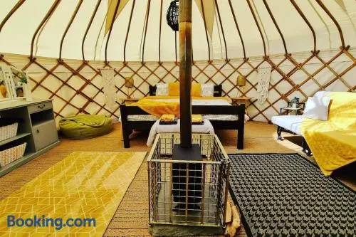 Bronfelen Yurt - Image 1