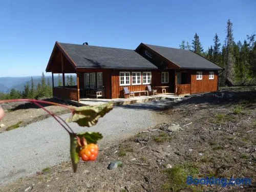 Ny hytte i flott turterreng - Image 1