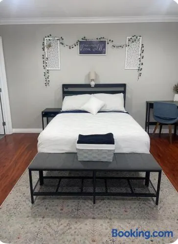 The stay go - Image 1