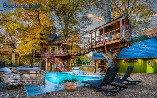 Tree Cabin in Bentonville - Image 1