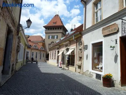 Hősök Tornya Apartman - Image 1