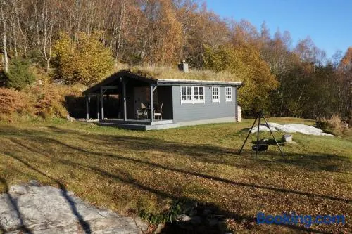 Bregnehytte - Image 1