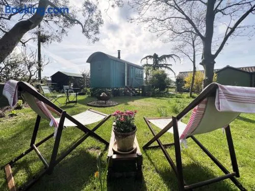 The Hollies Shepherds Hut by The Suffolk Cottage Collection - Image 1