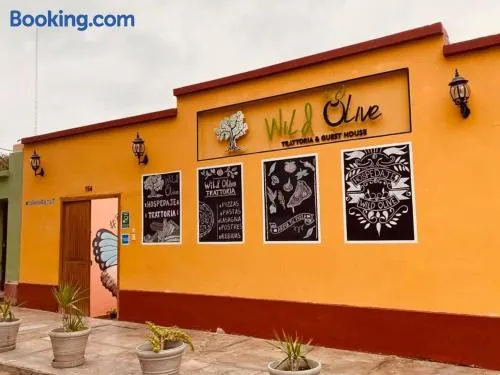 Wild Olive Guest House - Image 1