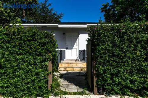 Calle Ocho Urban Getaway - Image 1