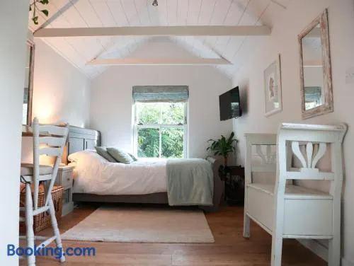 Mulberry Studio - Image 1