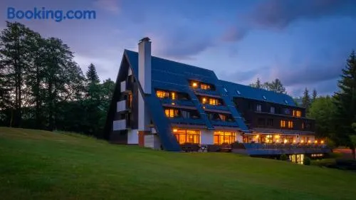 Wellness Hotel Šedý Vlk - Image 1