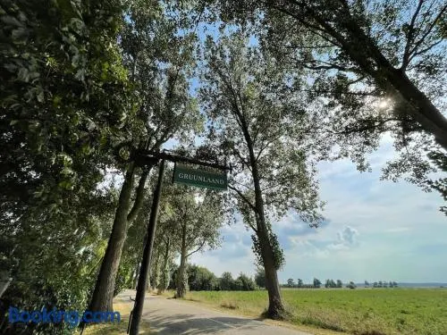 Rust, natuur en ruimte - Image 1