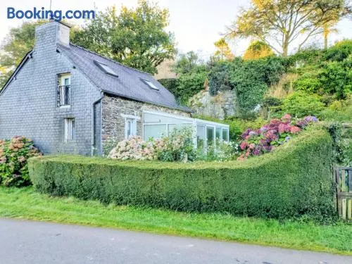 Ò FaYa Cottage votre Gîte calme et verdoyant en Bretagne - Image 1