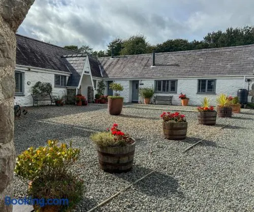 Gwyllt Cottages - Image 1