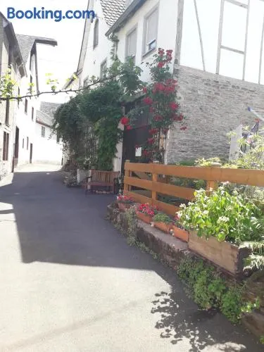 Ferienapartment Luise - Image 1