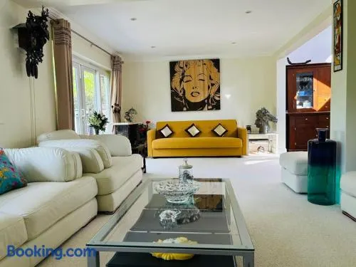 Serene spacious room (double) in gorgeous bungalow on river near Thorpe park and Holloway University Egham - Image 1
